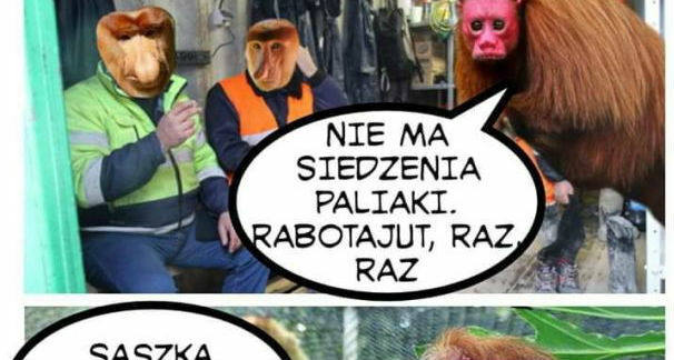 Mokry sen Saszki :D 