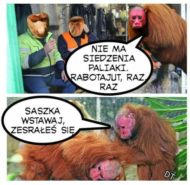 Mokry sen Saszki :D 