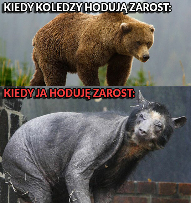 Kiedy chcę zapuścić zarost :D 