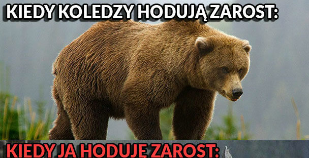 Kiedy chcę zapuścić zarost :D 