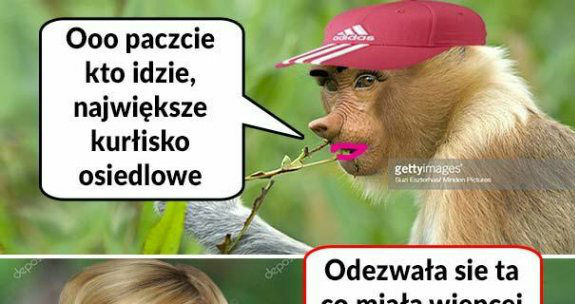 Kłótnia dwóch Karynek :D 