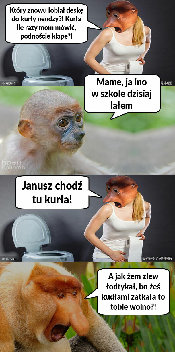 Kot oblał deskę?