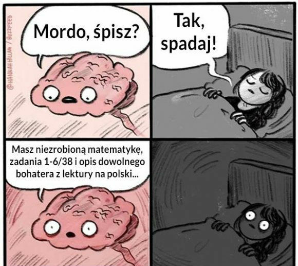 Tak wygląda mój mózg, kiedy zasypiam