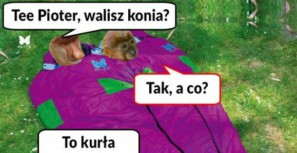 Pioterek i Janusz w śpiworze
