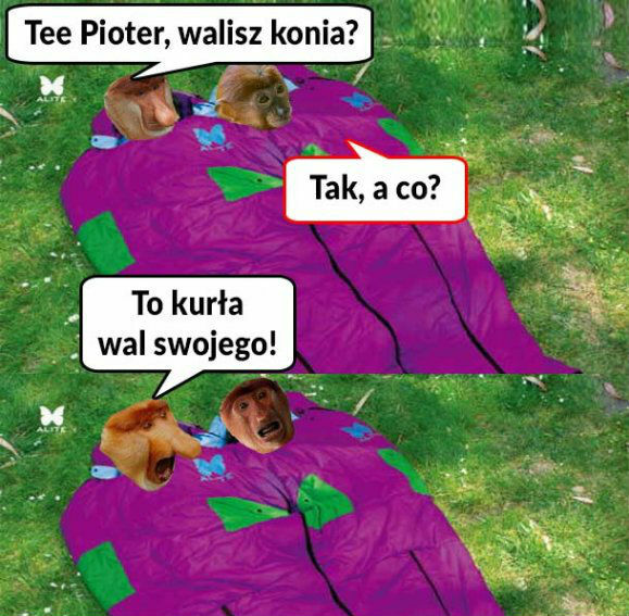 Pioterek i Janusz w śpiworze