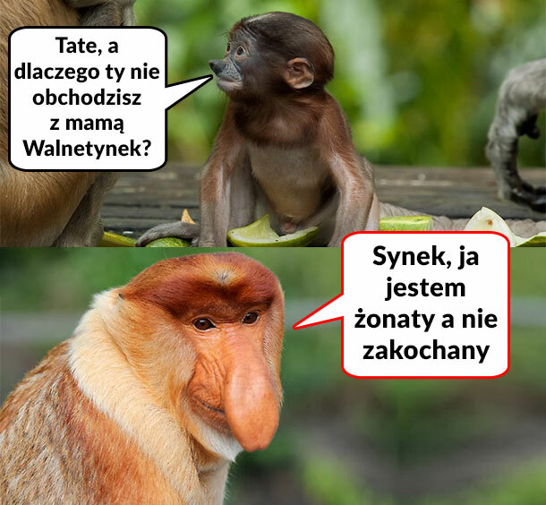 Walentynki u Januszów :D