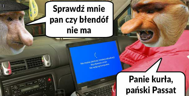 Passat u mechanika 