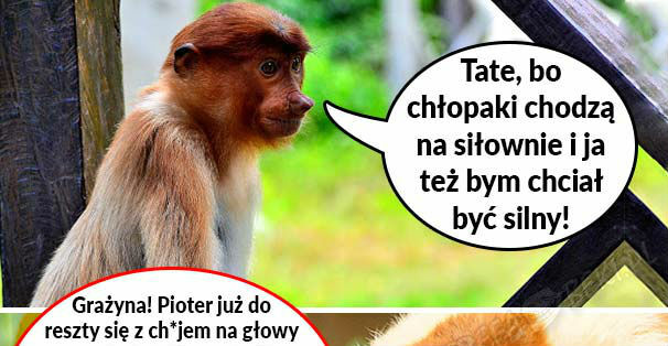 Siłka u Janusza