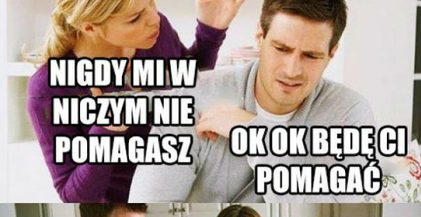 Logika lasek