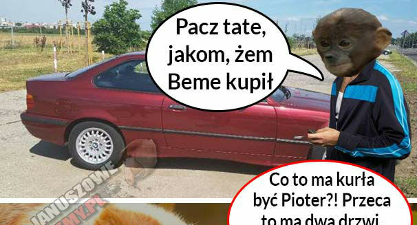 Skóra, fura i komóra :D