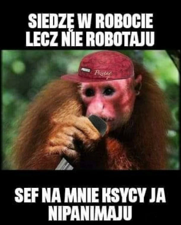 Saszka raper :D
