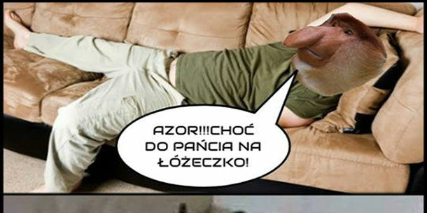 Azor nie wytrzymał