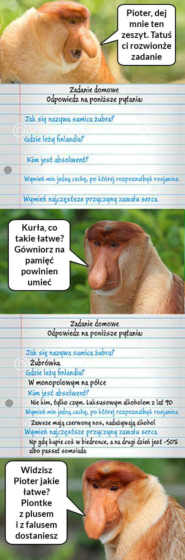 Kiedy Janusz weźmie się za zadnie domowe