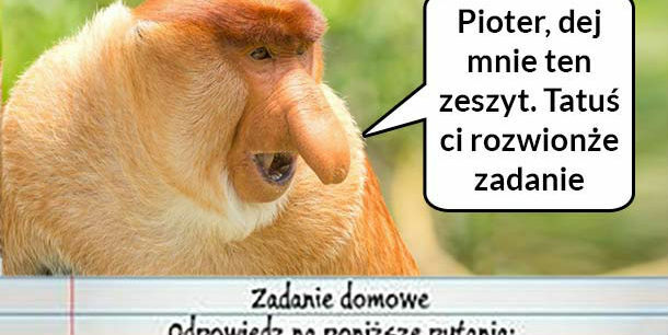 Kiedy Janusz weźmie się za zadnie domowe