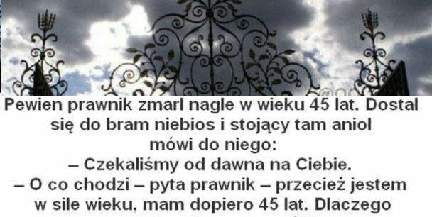 Prawnik w niebie