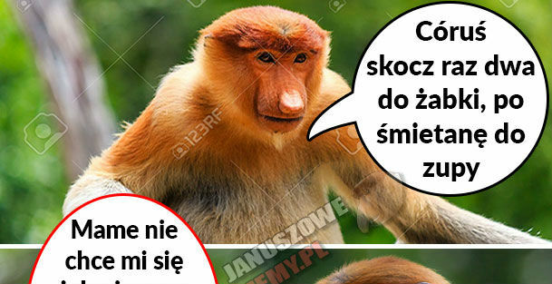 Kiedy Karyna nie chce skoczyć do sklepu