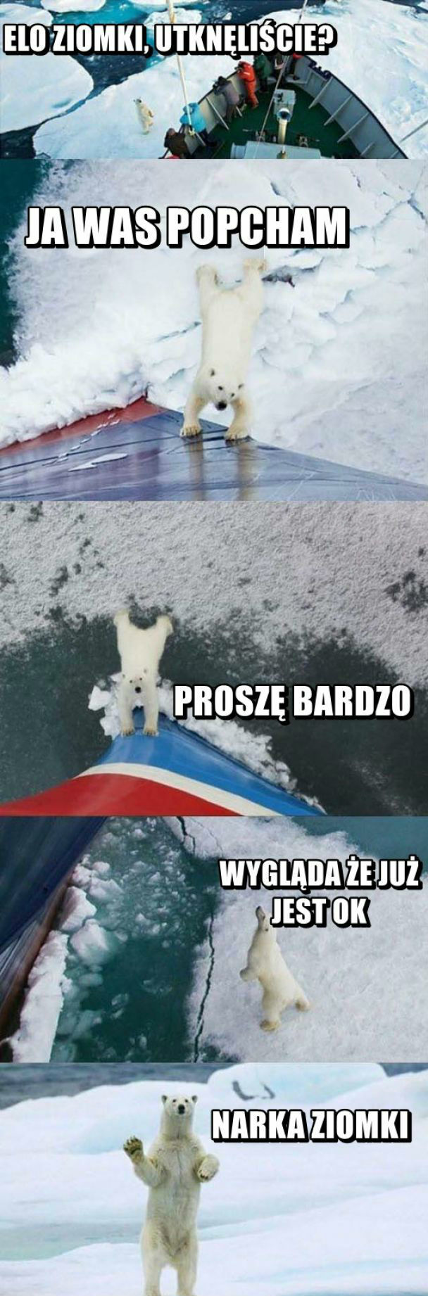Mały pomocnik