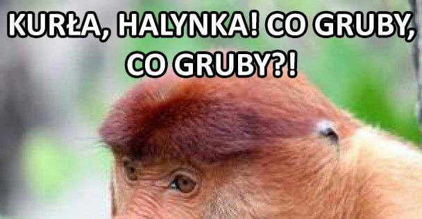 Janusz w Tłusty Czwartek