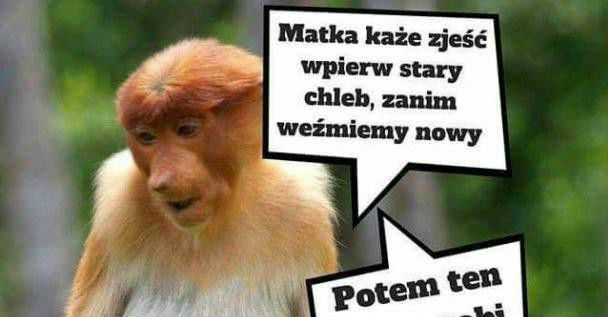 Jedzenie chleba takie jest 