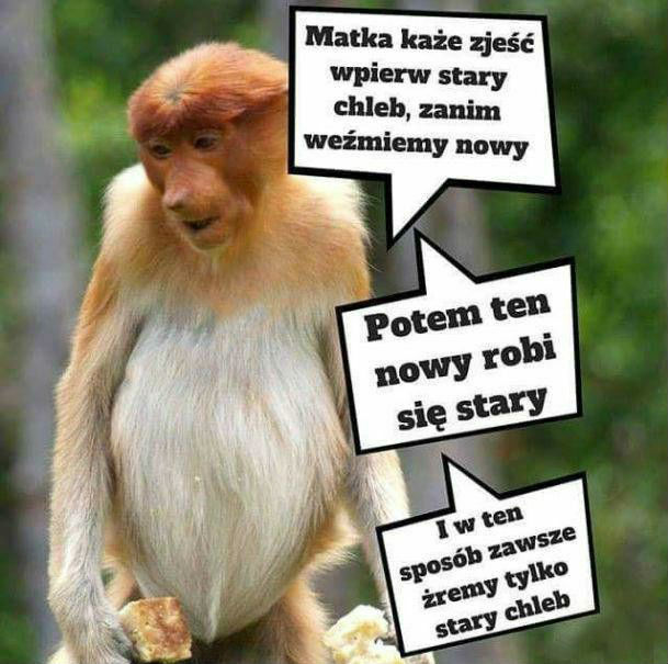 Jedzenie chleba takie jest 