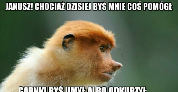 Typowy Dzień Kobiet