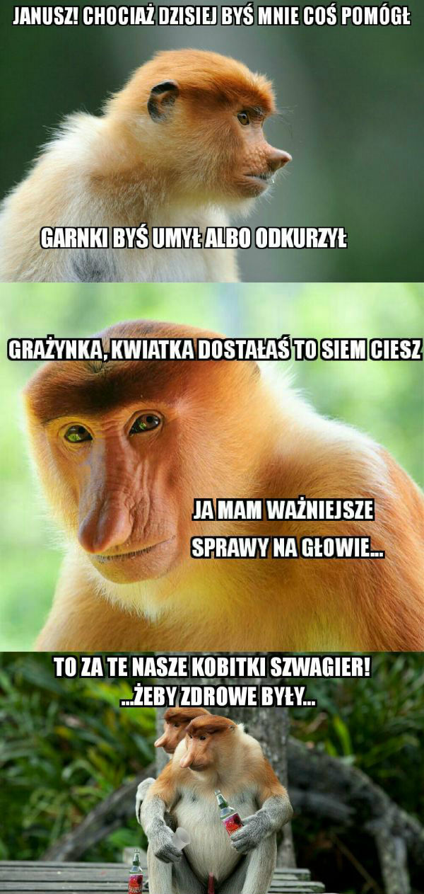 Typowy Dzień Kobiet