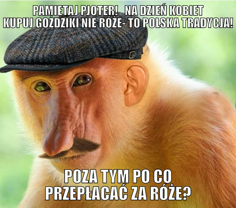 Janusz na dzień kobiet :D