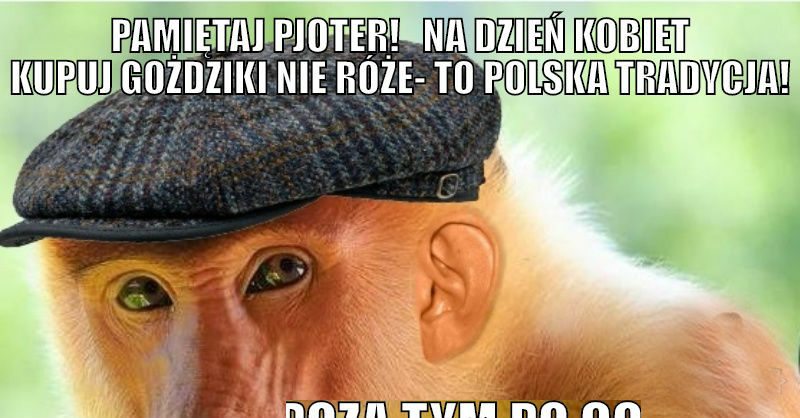 Janusz na dzień kobiet :D