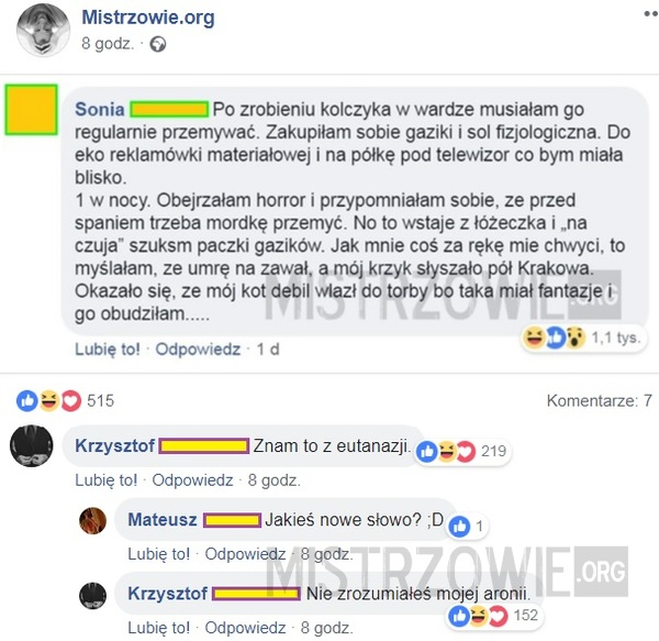 Kolczyk w wardze
