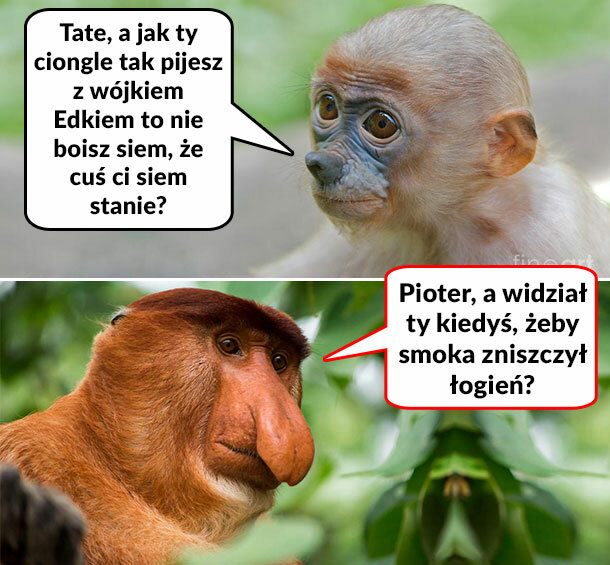 Pytasz, a wiesz :D 