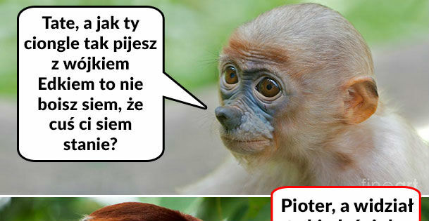 Pytasz, a wiesz :D 
