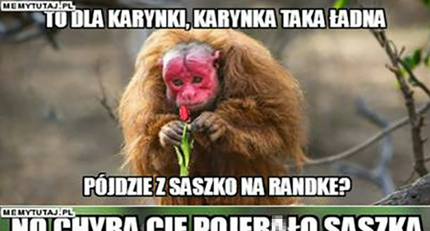 Bezwzględna Karyna