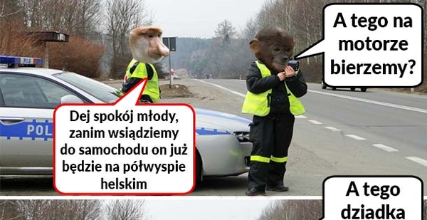 Policjanci w akcji :D