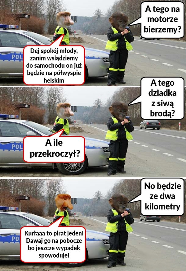 Policjanci w akcji :D