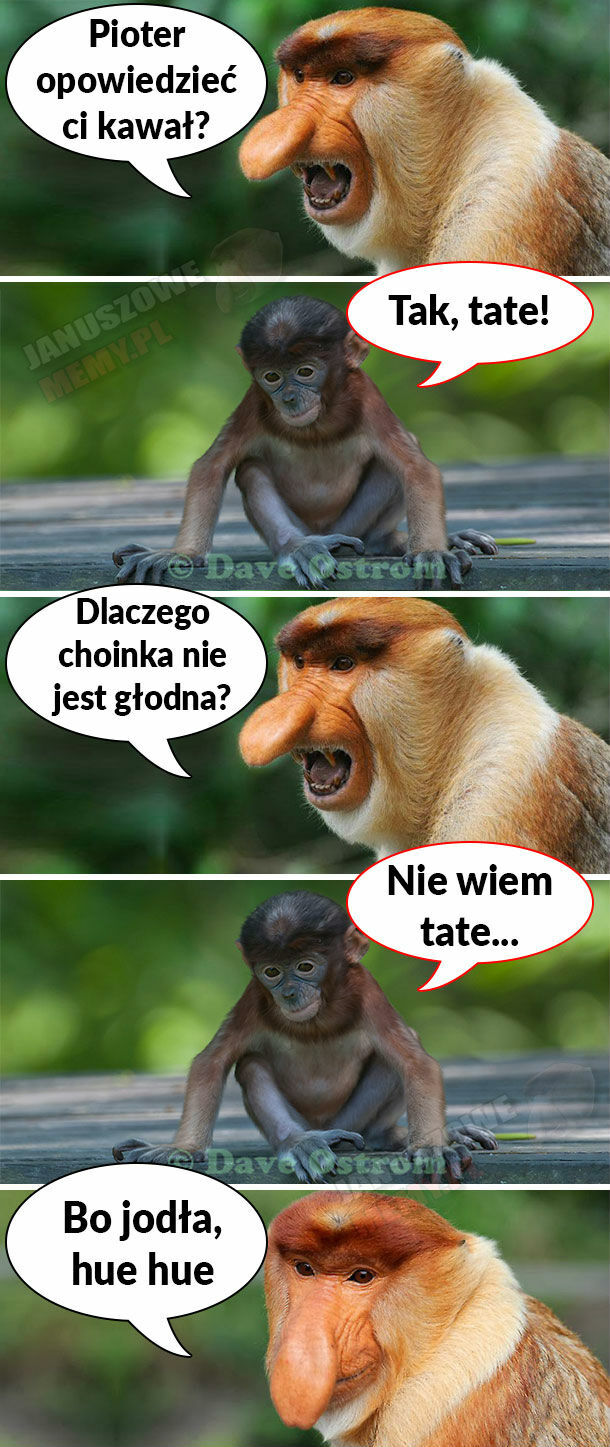 Januszowy dowcip