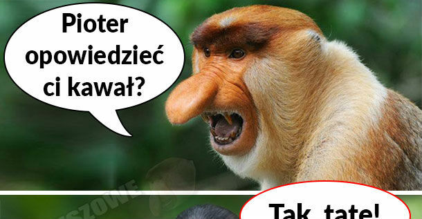 Januszowy dowcip