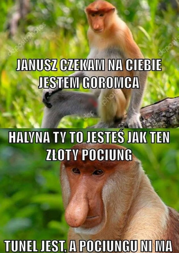 Halyna jak złoty pociąg