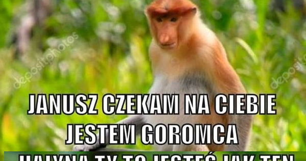 Halyna jak złoty pociąg