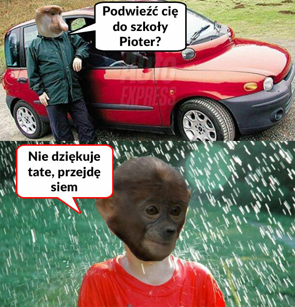 Janusz i multipla