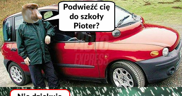 Janusz i multipla