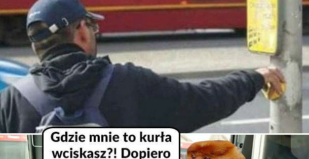 Janusz: wkurzony kierowca kontratakuje :D