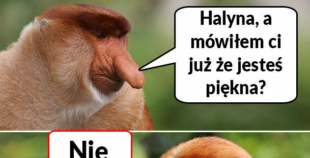 Janusz komplemenciarz w akcji :D