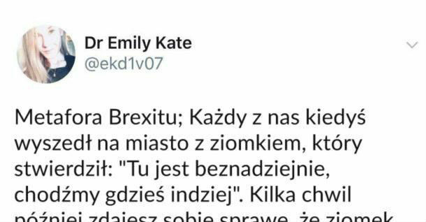 Trafne porównanie :D 