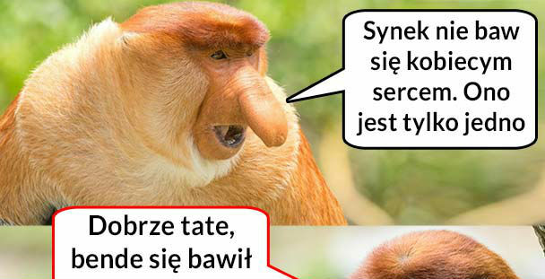 Porada od Janusza :D