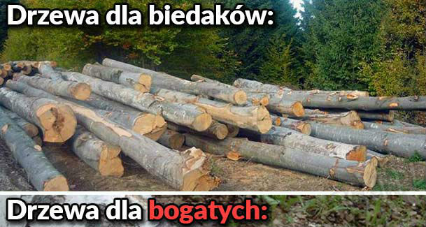 Drzewa dla bogaczy