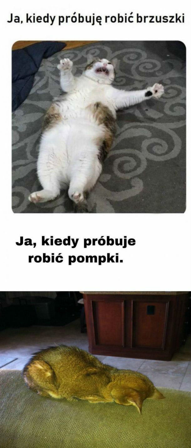 Sportowy tryb życia
