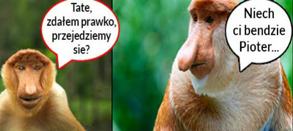 Pioter za kierownicą