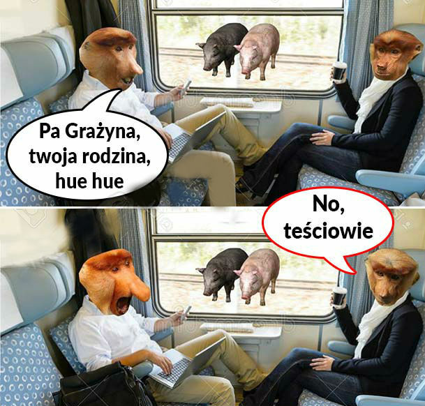 Grażynka zaorała
