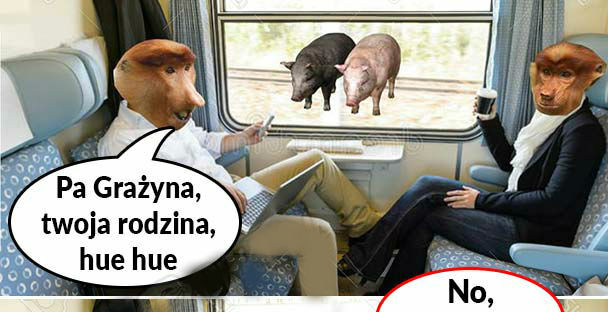 Grażynka zaorała
