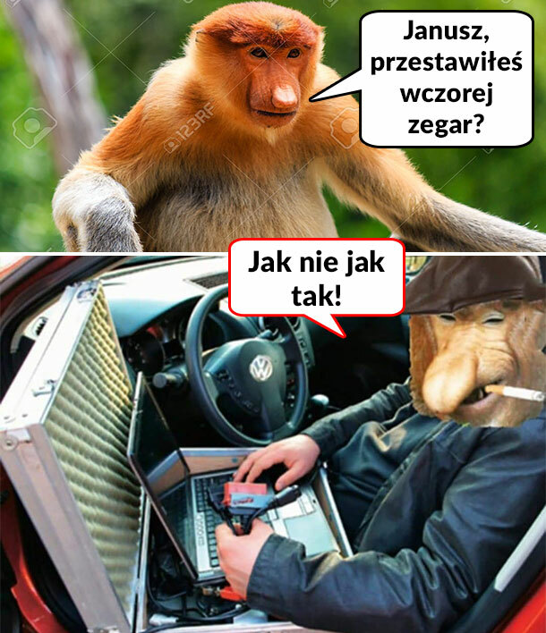 ...i to jeszcze jak!